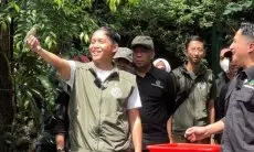 Presiden Prabowo Perintahkan Pencabutan Izin 18 Perusahaan Pengelola Hutan yang Tak Dimanfaatkan: Komitmen Maksimalkan Fungsi Hutan dan Kelestarian Lingkungan