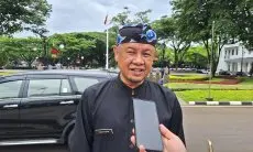 Masyarakat Diminta Tidak Panik Saat Alami Chikungunya