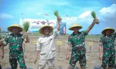 Gudang TNI Disulap Jadi Lumbung Beras Strategis, Mayjen Novi Helmy Prasetya Resmi Jabat Dirut Bulog