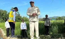 Kenaikan HPP Gabah Tak Pengaruhi Harga Beras di Tingkat Konsumen: Pemerintah Jamin Stabilitas Harga dan Kesejahteraan Petani
