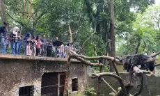 Dewan Dukung Rencana Pemkot Benahi Kebun Binatang Bandung