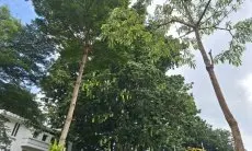 Waspada Angin Kencang! Cek Prakiraan Cuaca di Jawa Barat 28 Juli 2026