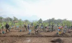 Dewan Soroti Minimnya Ruang Terbuka Hijau di Kota Bandung