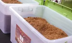 Barang Bukti Tembakau Sintetis 1 Ton Sentul Segera Dimusnahkan, Ini Tujuannya !