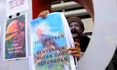 FOTO: Aksi Selamatkan Burung Rangkong Gading
