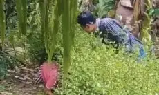 Viral! Emak-Emak Ngumpet di Kebun Saat Didatangi Penagih Hutang