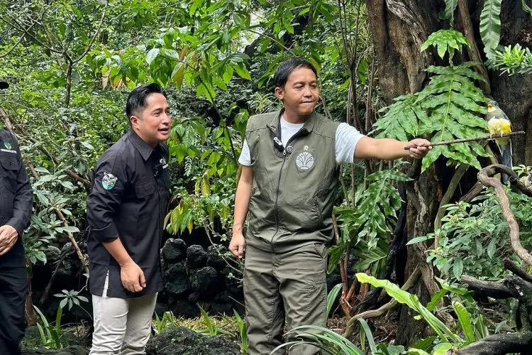 Menhut Raja Juli Antoni Pastikan Habitat Orangutan Terlindungi dari Ancaman Karhutla