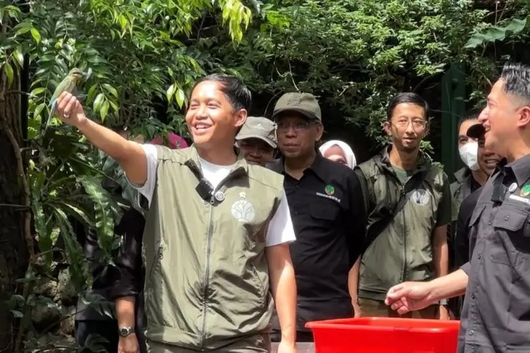 Presiden Prabowo Perintahkan Pencabutan Izin 18 Perusahaan Pengelola Hutan yang Tak Dimanfaatkan: Komitmen Maksimalkan Fungsi Hutan dan Kelestarian Lingkungan
