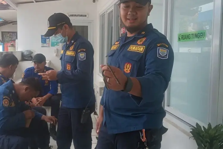Petugas Damkar Evakuasi Ular di Kantor Polrestabes Bandung