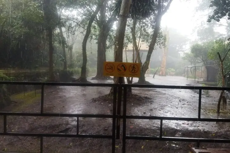 Kejati Jabar Sita Aset Kebun Binatang Bandung