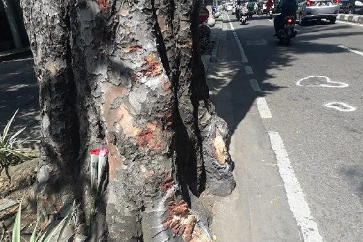 Tabrak Pohon di Soekarno Hatta, Pemotor Tewas