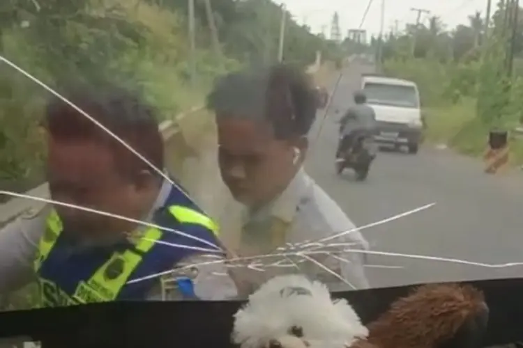 Viral Video Oknum Dishub Lampung Tengah Diduga Lakukan Pungli dan Kekerasan terhadap Sopir