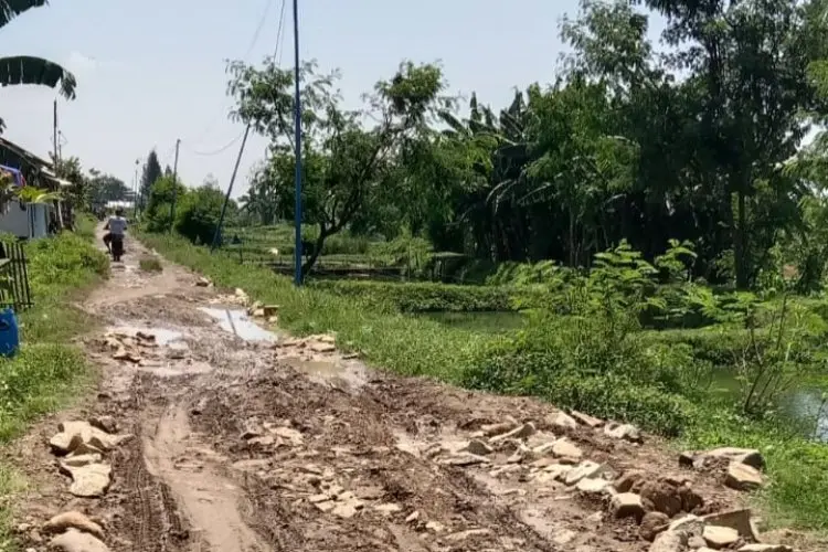 Ruas Jalan kapetakan-Gegesik Rusak Parah, Dewan Minta Segera Perbaikan.