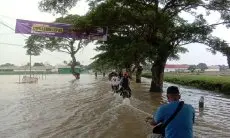 Belasan Ribu Hektare Sawah di Jabar Terendam Banjir
