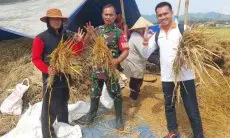 Jelang Lebaran Tahun Ini, Bulog Jabar Serap 66.000 Ton Gabah Beras Petani