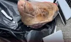 Tak Tinggal Diam, Dewan Pers Desak Pengusutan Tuntas Teror Pengiriman Kepala Babi ke Tempo