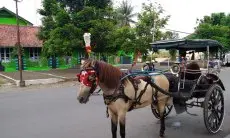 Mekanisme Penyaluran Insentif Rp3 Juta untuk Angkutan Tradisional di Jabar Selama Lebaran
