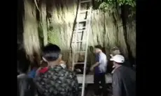 Heboh! Hilang 3 Hari, Pria di Serang Ditemukan di Atas Pohon Beringin