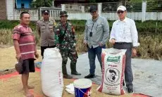 Penyerapan Gabah Bulog Jabar Tembus 100 Persen Lebih