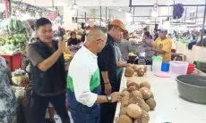 Pakar IPB Sebut Penyebab Langka dan Tingginya Harga Kelapa