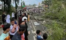 Pohon Beringin Tua di Alun-alun Pemalang Roboh, Belasan Jemaah Salat Idul Fitri Jadi Korban