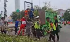 Kronologi Jemaah Salat Idul Fitri Tewas Tertimpa Pohon Tumbang di Pemalang