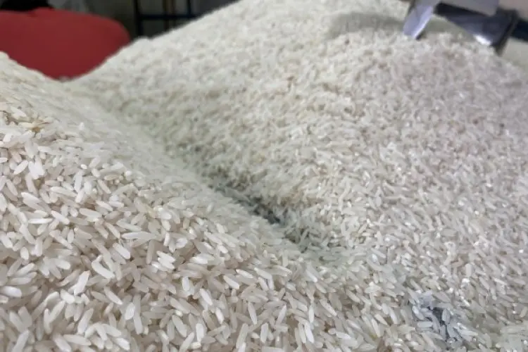Stok Beras Bandung Aman hingga Akhir Tahun, Harga Masih Relatif Stabil