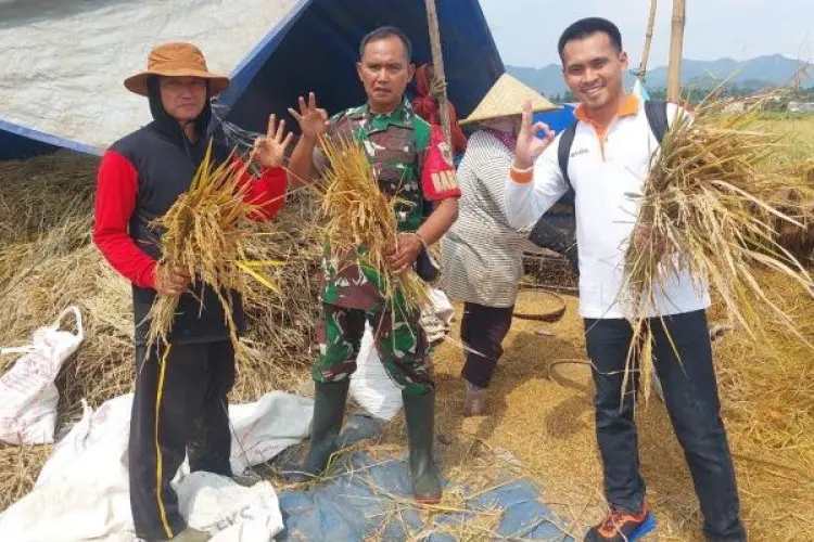 Jelang Lebaran Tahun Ini, Bulog Jabar Serap 66.000 Ton Gabah Beras Petani