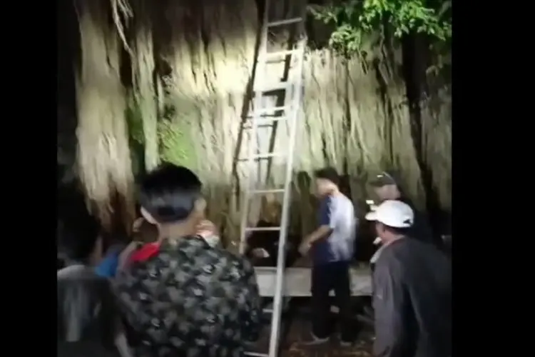 Heboh! Hilang 3 Hari, Pria di Serang Ditemukan di Atas Pohon Beringin