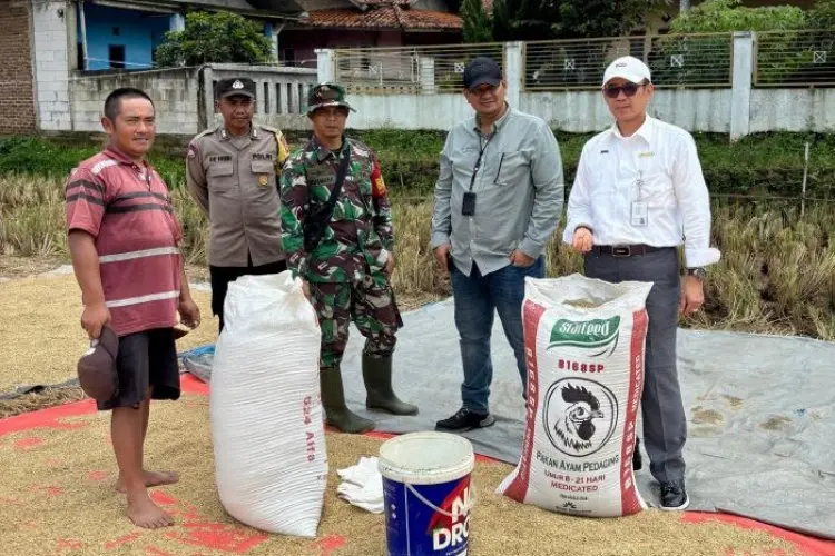 Penyerapan Gabah Bulog Jabar Tembus 100 Persen Lebih