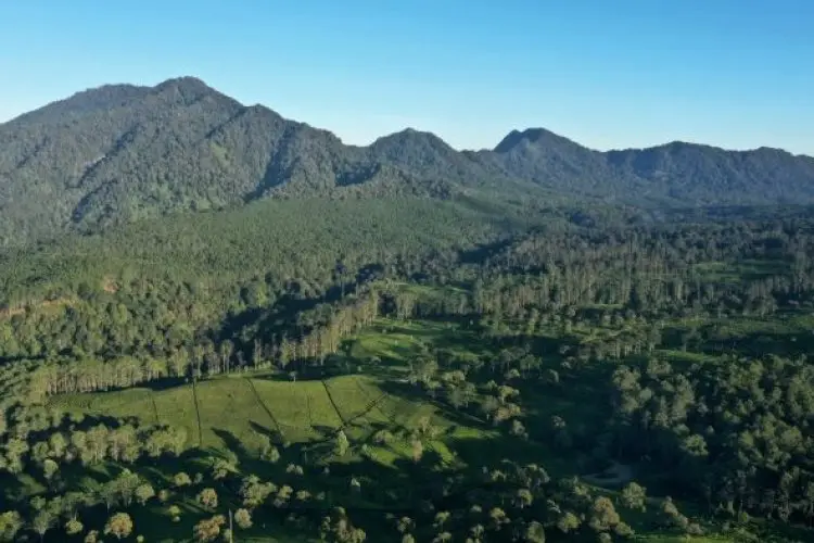 Tak Salahi Aturan, Dokumen Perizinan Eiger Camp Lengkap dan KDB Cuma 2 Persen
