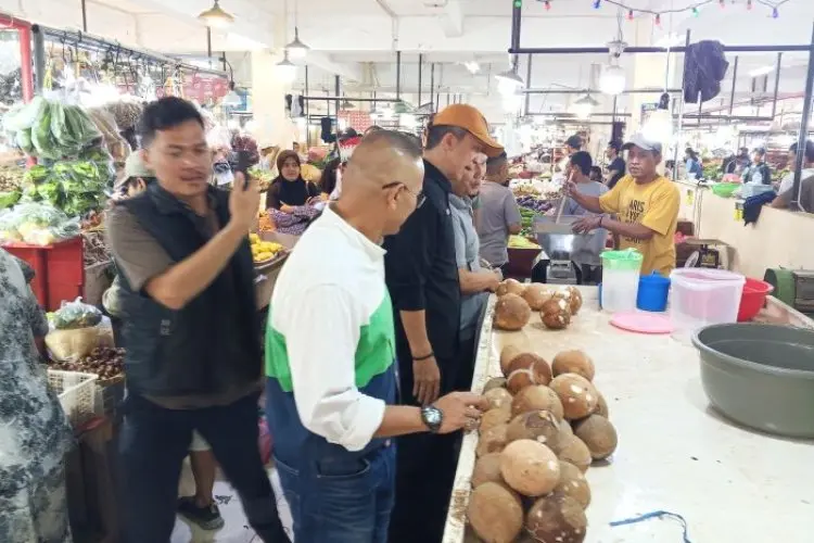 Pakar IPB Sebut Penyebab Langka dan Tingginya Harga Kelapa