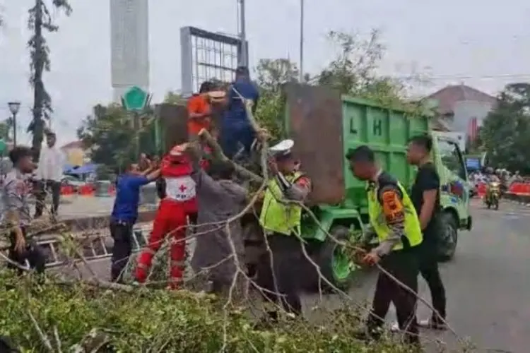 Kronologi Jemaah Salat Idul Fitri Tewas Tertimpa Pohon Tumbang di Pemalang