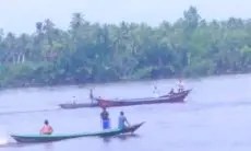 Asik Mandi di Sungai, Warga Diserang Buaya