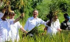 Panen Perdana 2025, Kota Bandung Catat 8 Ton per Hektar