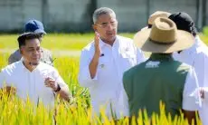 Wali Kota Bandung Inisiasi Wisata Sawah dan Urban Farming di Tengah Kota