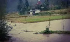 Diterjang Banjir, Lahan Pesawahan Seluas 4 Hektare di Rongga Gagal Panen