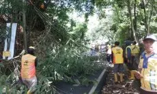 Imbas Rumpun Bambu Tumbang, Jalan Kolonel Masturi Lembang Macet Parah