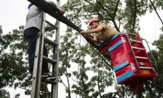 Penataan Kabel di Kota Bandung Sejak 2022 Capai 123 Kilometer