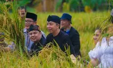 Dari Wali Kota Hingga Beberapa Wamen Larut dalam Panen Raya di AEWO Mulyaharja