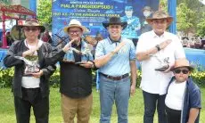 Kabupaten Bogor jadi Pusat Lomba Seni Ketangkasan Domba Garut Yang Digelar TNI AU