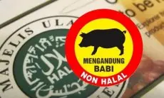 7 Produk Bersertifikat Halal Ternyata Mengandung Babi, Ada Jajanan Anak!