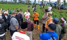 Dedi Mulyadi Diminta Gak Tutup Mata Soal Penyerobotan dan Pengrusakan Perkebunan Teh di Pangalengan