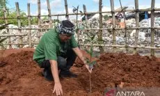 Pemkot Tasikmalaya Manfaatkan Lahan TPA dengan Ditanami Bambu