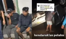 Tiga Pria Tertangkap Basah Curi Alpukat 43 Kg, Aksinya Viral di TikTok