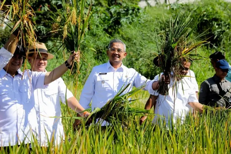 Panen Perdana 2025, Kota Bandung Catat 8 Ton per Hektar