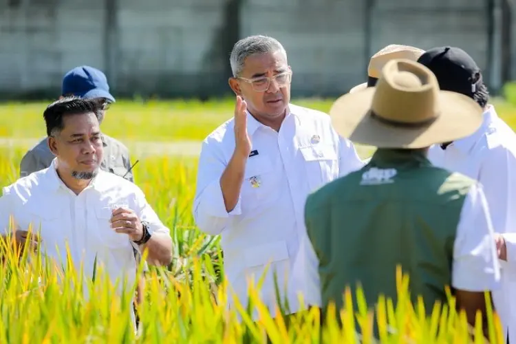 Wali Kota Bandung Inisiasi Wisata Sawah dan Urban Farming di Tengah Kota