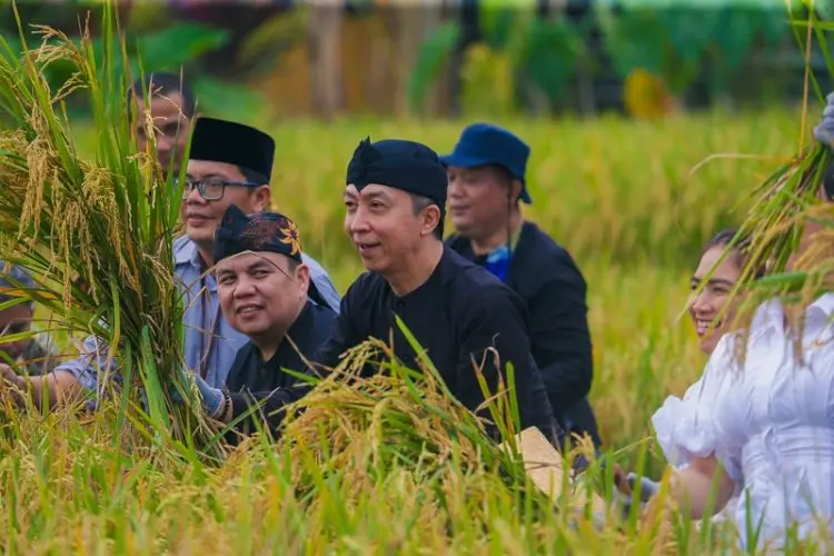Dari Wali Kota Hingga Beberapa Wamen Larut dalam Panen Raya di AEWO Mulyaharja