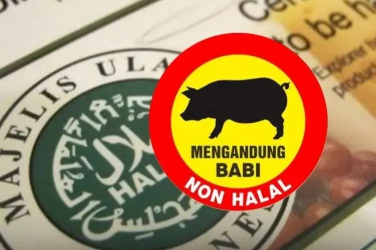 7 Produk Bersertifikat Halal Ternyata Mengandung Babi, Ada Jajanan Anak!