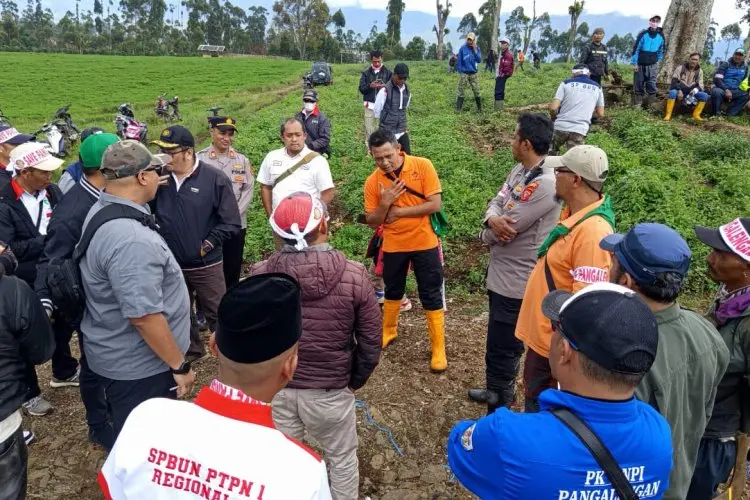Dedi Mulyadi Diminta Gak Tutup Mata Soal Penyerobotan dan Pengrusakan Perkebunan Teh di Pangalengan